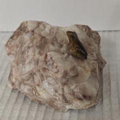 天然石 かえる 蛙 置物 オブジェ 飾り物 リラックス 癒し