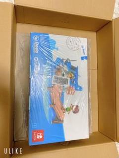 Nintendo Switch あつまれ どうぶつの森 本体セット