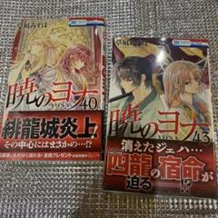 暁のヨナ 40巻＋小説 41巻セット 暁のヨナ 40巻＋小説 41巻セット（暁のヨナ 40巻＋小説 41巻セット）