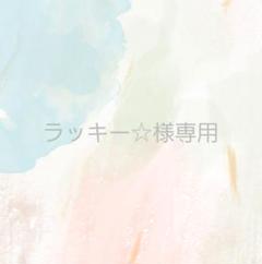 ラッキー様、専用ページ※他の方は購入しないでください。 ラッキー☆様専用 デザイン確認用 - メルカリ