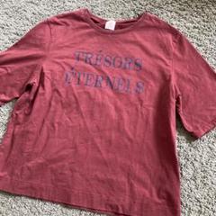 オペーク OPAQUE. CLIP 英字ロゴTシャツ 赤 ボルドー M キレイめ