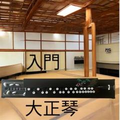入門 大正琴 13弦 黒色 - メルカリ