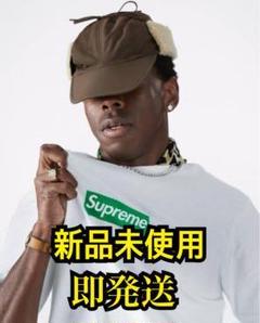 supreme ポスター　Tyler The Creator 1枚セット Supreme Tyler the Creator Poster (FW24) - New York City