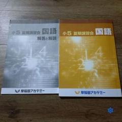 早稲田アカデミー 小学5年生+小学6年生 テキスト85冊セット 早稲田アカデミー 小学5年生+小学6年生 テキスト85冊セット最高