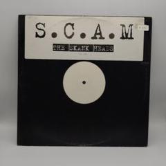 Skunk Anansie/The Skank Headsレコード12“97年