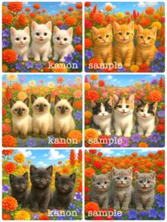 P261 パネル生地　子猫　シャム猫　秋の花畑　18×18 6枚1セット