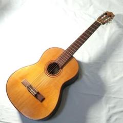 カラーチェ ギター calace ヴィンテージ F100w