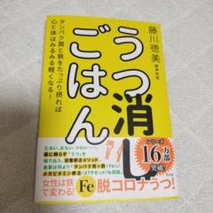 美品 うつ消しごはん 藤川徳美