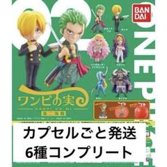 コラソン ロシナンテ Championship onepiece 輩 ワンピの実 ONE PIECE コラソン（ドンキホーテ・ロシナンテ） 輩缶バッジ