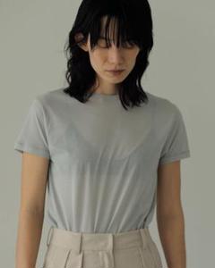 anuke Sheer Slub T-shirts - メルカリ