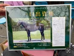 競馬一口馬主出資パネル