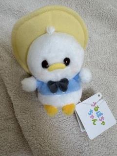 うるぽちゃちゃん　ドナルド