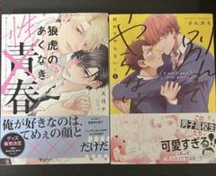 BL漫画 まとめ売り BL まんが まとめ売り 28冊セット