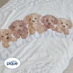 gelato pique トイプードル ブランケット