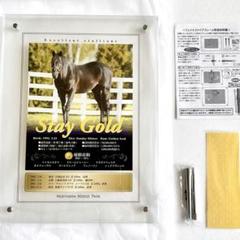 新品未使用 名馬 アクリルパネル ステイゴールド StayGold 競馬 競走馬