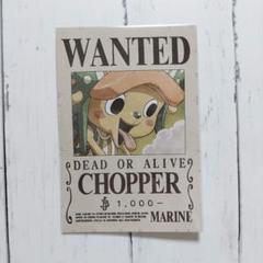 【チョッパー】CHOPPER　ワンピース　ポストカードのサムネイル