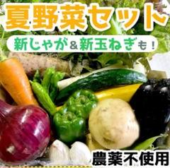 新鮮野菜セット　80サイズいっぱい野菜詰め合わせ　トマト　ナスのサムネイル