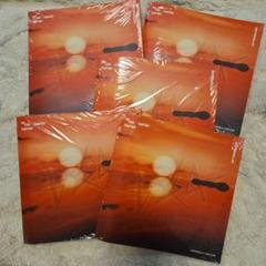 TXT　Afterglow　5枚セット