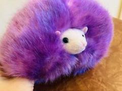 ピグミーパフ　ハリーポッター　ぬいぐるみ　美品　値下げ！