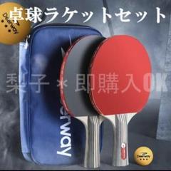 卓球 ラケット 初心者 中級者 セット 2本 ボール 収納袋 練習用 ケース付