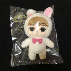 2025年最新】EXO カイ ぬいぐるみの人気アイテム - メルカリ