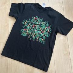 ミセスグリーンアップル Tシャツ Mサイズエデンの園 黒 ミセス