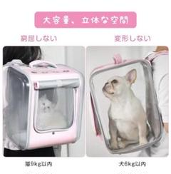 d34【お出掛けに!】ペットキャリー