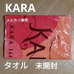 Amazon.co.jp: KARA KARASIA 2015 ハラ ビック BIG タオル