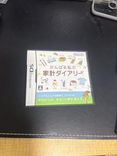 がんばる私の家計ダイアリー (Nintendo DS)
