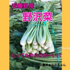 安曇野産 野沢菜 5キロ ㎏