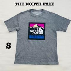 THE NORTH FACE エルキャピタングラフィックTシャツS グレー