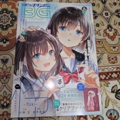 2025年最新】薬屋のひとりごと クリアファイル ビッグガンガンの