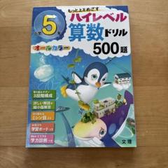 【記入あり】ハイレベル算数ドリル 500題 5年