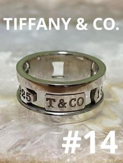 TIFFANY&CO.【美品】エレメントプレートピアス　1837 シルバー925 TIFFANY&CO.【美品】エレメントプレートピアス 1837 シルバー925