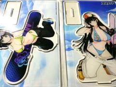 閃乱カグラ ドルフィンウェーブ アクスタ 斑鳩 アイネス