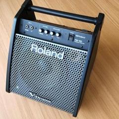 Roland - PM-100 | Personal Monitor