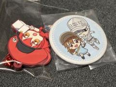 ⭐︎マスト細胞(肥満細胞)＆好塩基球 「はたらく細胞 缶バッジ⭐︎ はたらく細胞』メタリック缶バッジ 第1弾 全9種 BOXセット