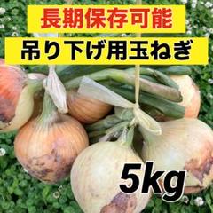 大好評‼️吊るして年内保存可能‼️農家直送玉ねぎ5キロ‼️のサムネイル