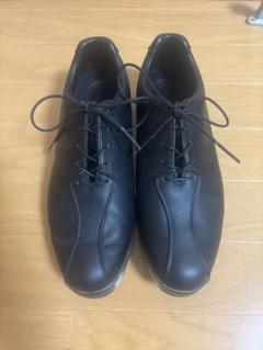 アディダスADIDASアディダス ADIPURE TP Q44674｜男の大きな靴の