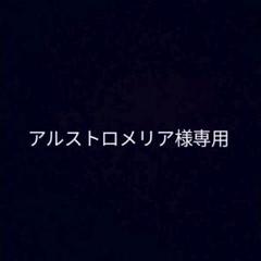 GBメモリ書き換えカートリッジ マリオDX