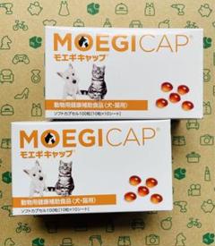 モエギキャップ 100粒×2箱 動物用健康補助食品【賞味期限:2026.09】 あすつく】【2個セット】【モエギキャップ 100粒（10粒×10