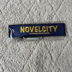 Novelbright キーホルダー　グッズ Gt4ceJFXQAAjUrk.jpg:large