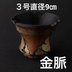 稲妻 〜金脈〜 3号 植木鉢 作家鉢 3Dプリンター鉢 アガベ