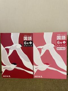 四谷大塚予習シリーズ 国語6年下 解答・解説付き 2冊セット