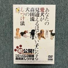 初公開　森田誠のしつけ方　DVD 5枚組　中古