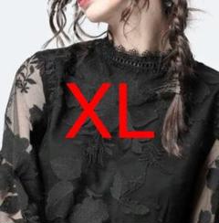 レース 花柄 シャツ 長袖 レディース ブラウス 韓国 シースルー 秋服 XL