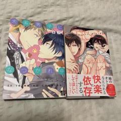 BLコミック 26冊まとめ売り BLコミック26冊 まとめ売り - メルカリ