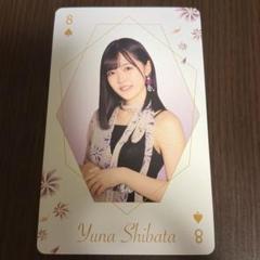 乃木坂46 トランプカード 柴田柚菜
