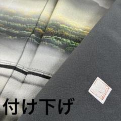 作家物 橋 ぼかし パールトーン加工 紋無し 付下げ 着物 正絹 U