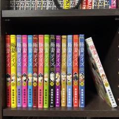 極妻デイズ 全巻セット m33932951520_1.jpg?1711272253